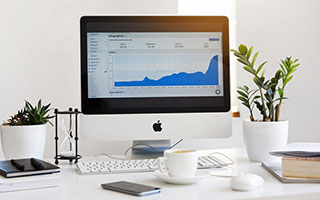 必赢入口：打开成长之门，成就可持续的成功之路